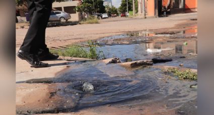 Ciudad Obregón: Colonia Nuevo Cajeme sufre entre las aguas negras; hay más de 5 drenajes colapsados