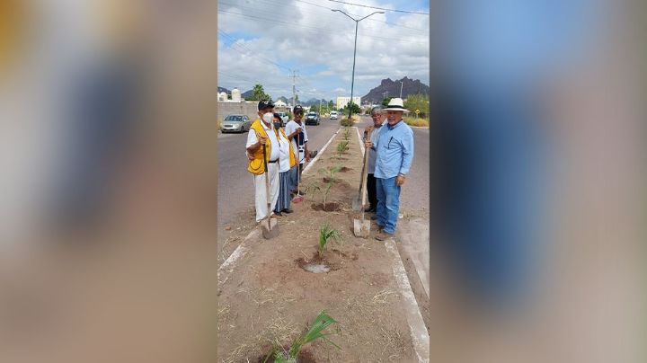 Club de Leones siembran 50 árboles durante el mes de octubre en el Puerto