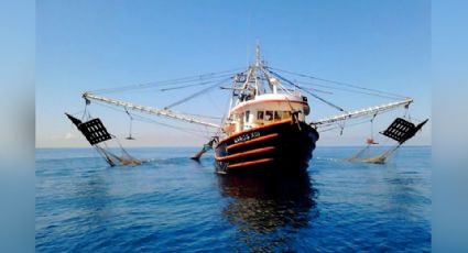 Sardina extraída por barcos de Guaymas se exporta en un 70% al extranjero