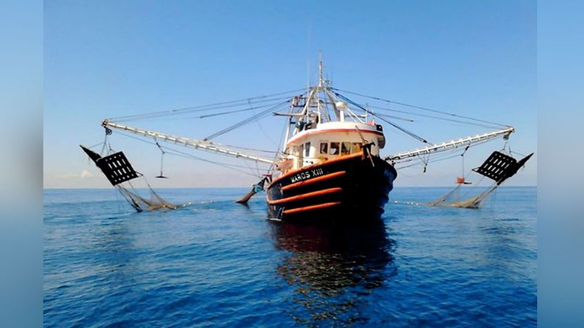 Sardina extraída por barcos de Guaymas se exporta en un 70% al extranjero