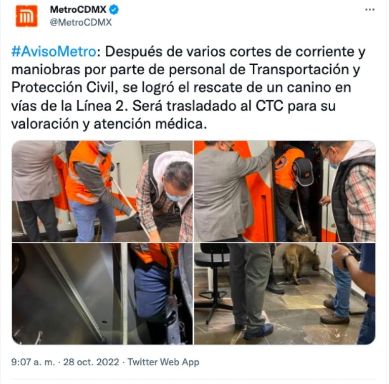 Rescate de perro en el Metro 