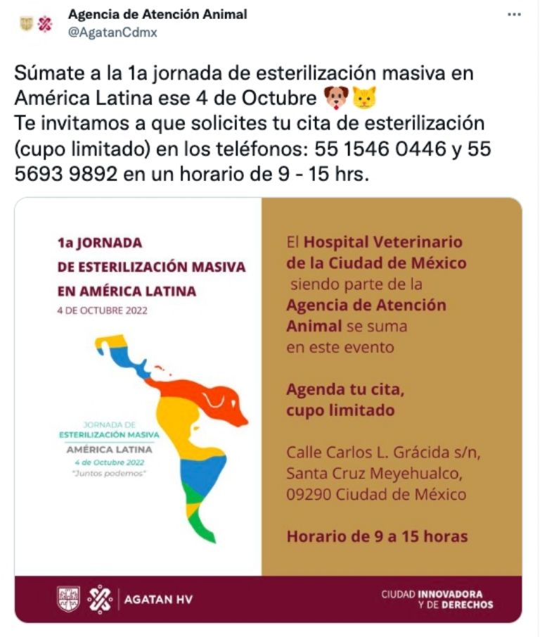 Jornada de esterilización  