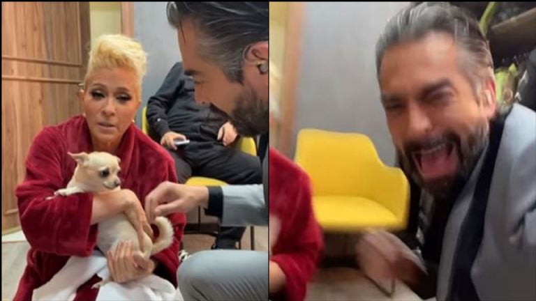 Omar Chaparro es atacado por el perro de Yuri