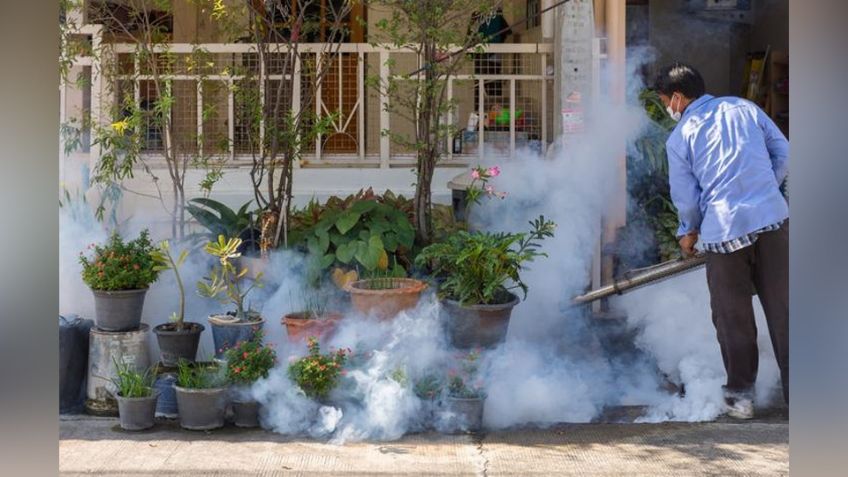 Fumigaciones aumentan hasta un 30% en Navojoa por casos de dengue