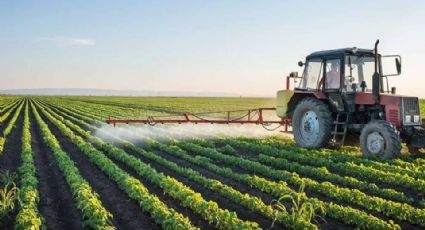 Agricultores de Sonora presionan y se pospone discusión  sobre los agroquímicos en el Senado