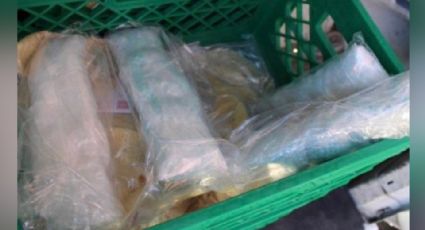 Oculto entre tortillas de harina, autoridades encuentran grandes dosis de fentanilo en Nogales