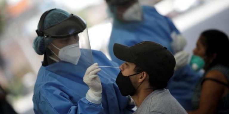 Cepa 'Perro del infierno'