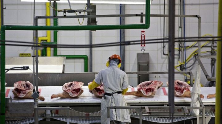 Canacintra anuncia la próxima Feria de Empleo en el municipio de Navojoa