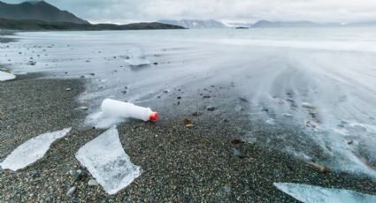 Advierten que es hora de reducir el uso del plástico; hallan este material en la Antártida