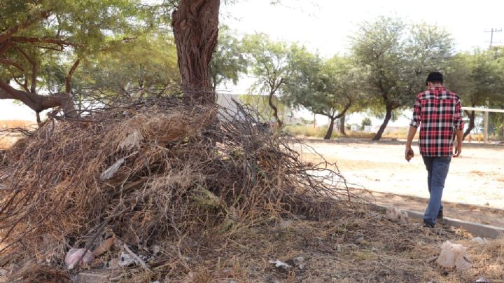 Vecinos de Las Espigas señalan falta de servicios en área verde