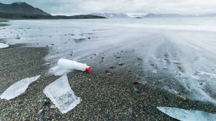 Advierten que es hora de reducir el uso del plástico; hallan este material en la Antártida