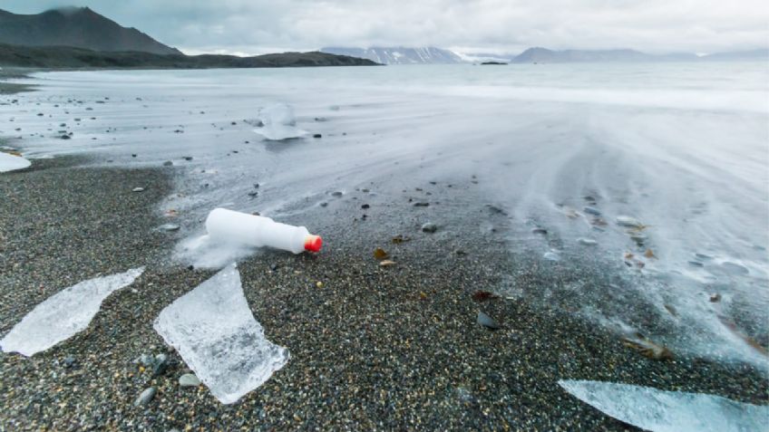 Advierten que es hora de reducir el uso del plástico; hallan este material en la Antártida