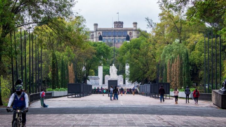 Sedema lanza licitación en el Bosque de Chapultepec; Renovarán módulos de venta