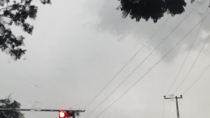 Clima CDMX y Valle de México para este 29 de noviembre: Se prevén chubascos para la tarde