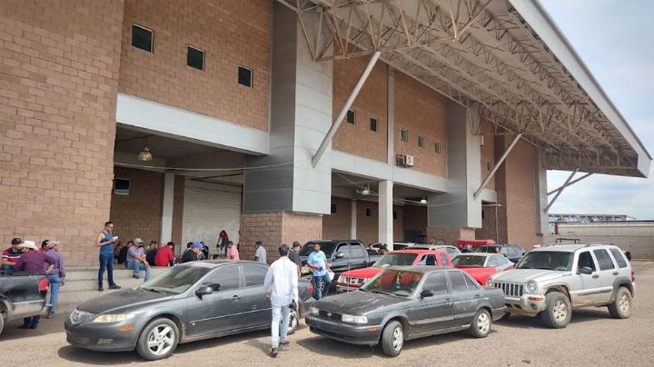 Hacienda 'mete tijera' a recursos de Cajeme por regularización de autos ‘chocolates’