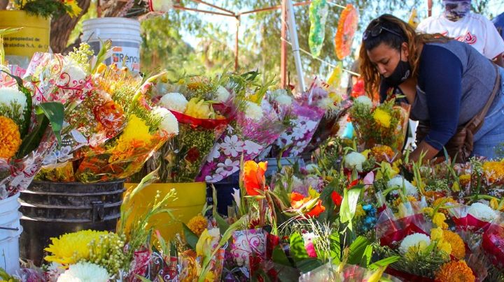 Florerías 'batearon' en Guaymas y Empalme por celebración de fieles difuntos
