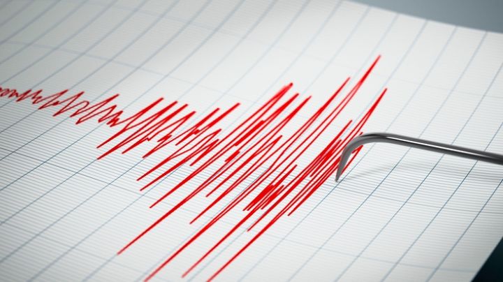 Sismo de magnitud 4.6 grados sacude Guerrero, ¿por qué no sonó la alarma en CDMX?