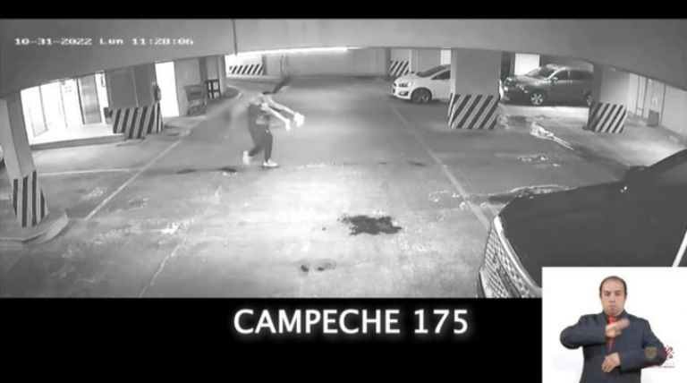 Caso Ariadna Fernanda