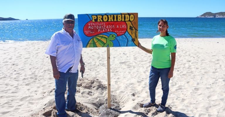 Colocan letreros para proteger zonas de anidación de tortugas en playas de San Carlos