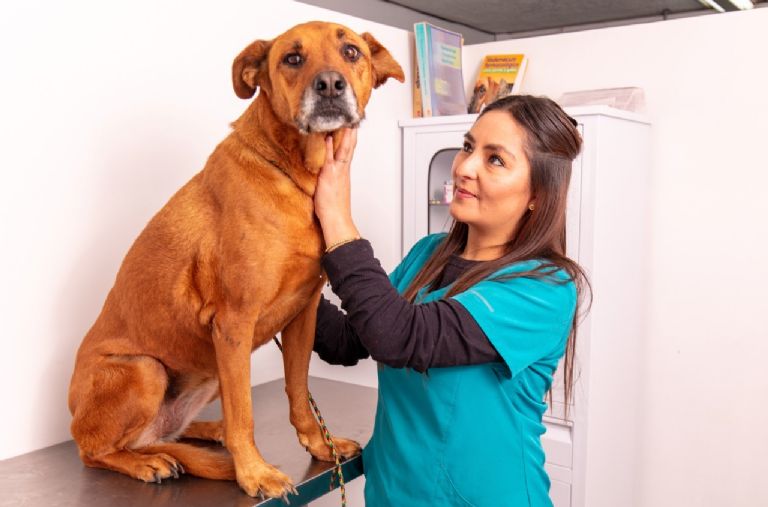 Mujeres emprendedoras en Edomex
