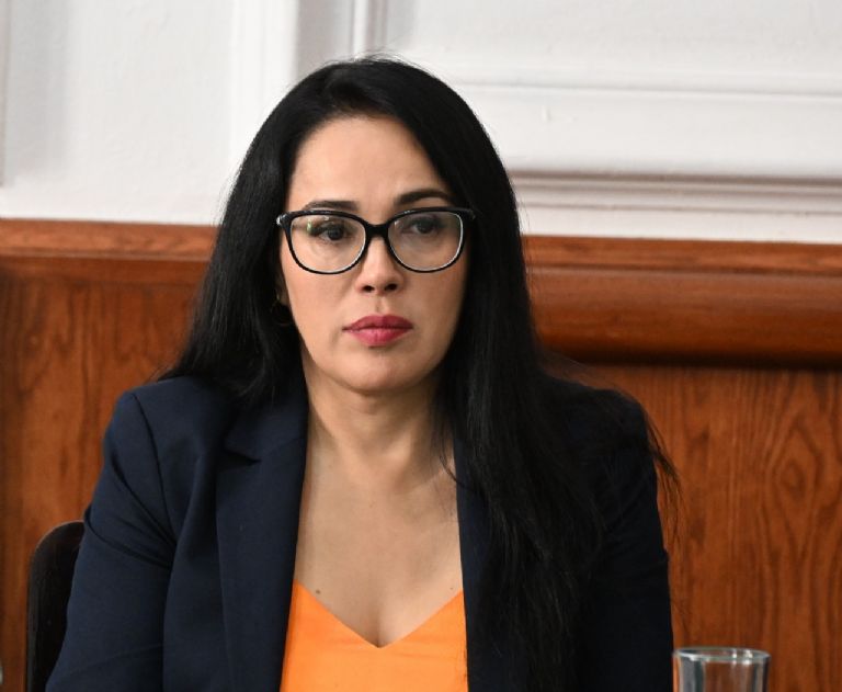 Diputada Silvia Sánchez Barrios