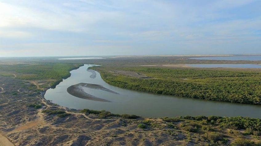 Alertan por la posible presencia de un cocodrilo en estero del Sur de Sonora
