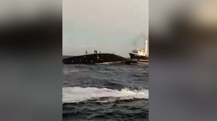 Sardinero de flota guaymense se va a ‘pique’; industria ha perdido de 9mdd en un mes