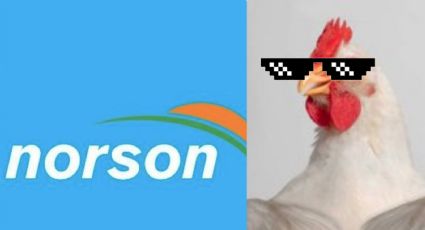 'Súper pollo': Bachoco crece y anuncia la compra de Norson, empresa productora de carne de cerdo