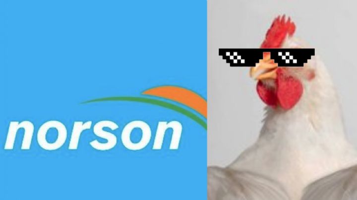 'Súper pollo': Bachoco crece y anuncia la compra de Norson, empresa productora de carne de cerdo