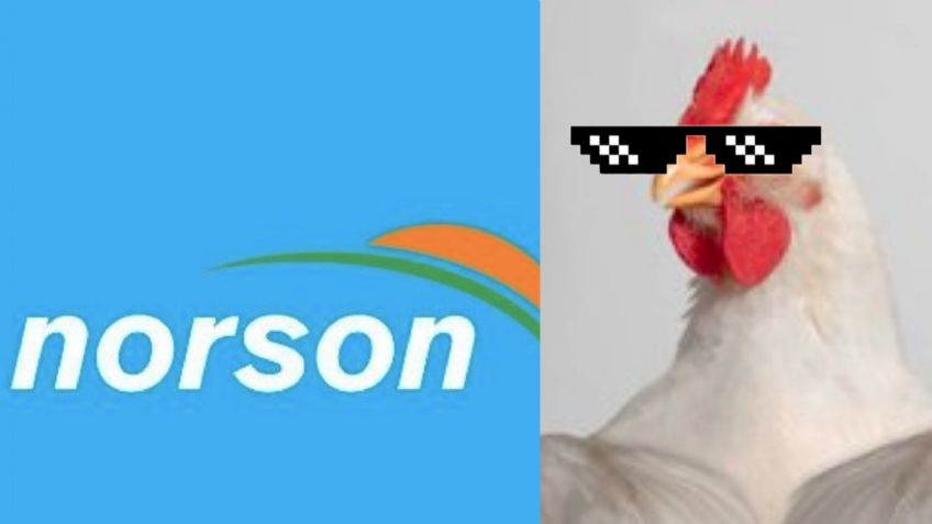 'Súper pollo': Bachoco crece y anuncia la compra de Norson, empresa productora de carne de cerdo