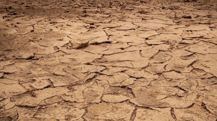 Preocupación por la sequía regresa al sur de Sonora; 13 municipios presentan sequía moderada