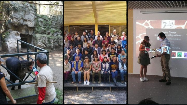 Zoológicos de la CDMX capacitan a los nuevos cuidadores, biólogos y veterinarios