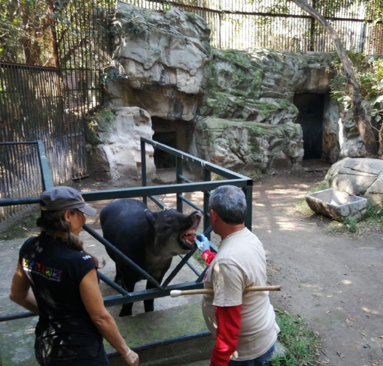 Capacitación en Zoológicos