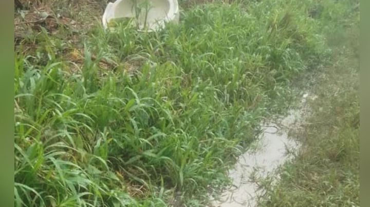 Tras varios de desaparecido, hombre es hallado sin vida y huellas de tortura en unas parcelas