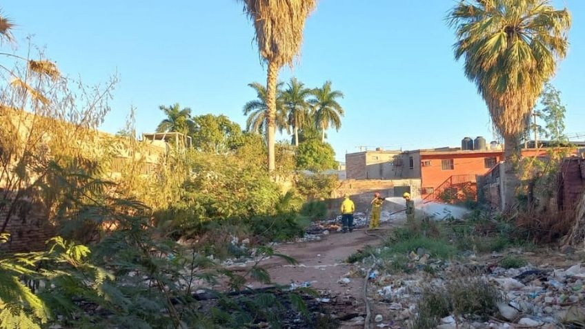 Incendios forestales generan alto costo a Bomberos de Guaymas; el fin de semana se presentaron 10