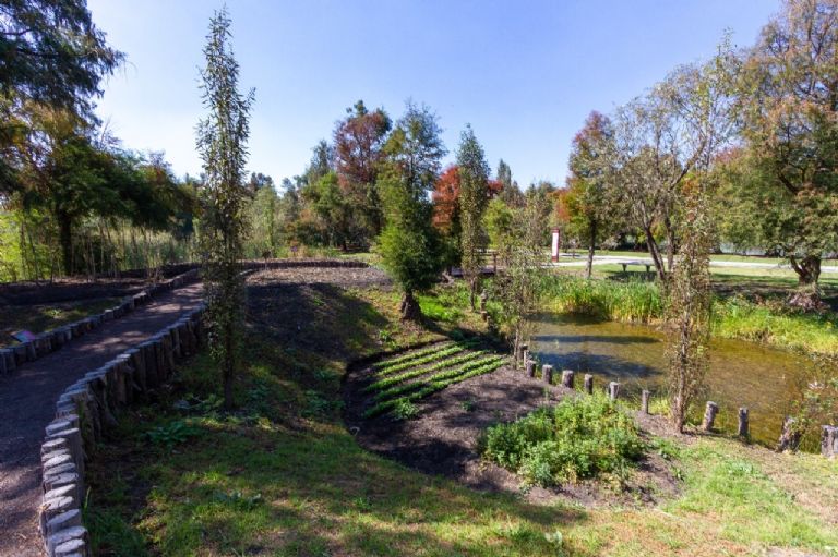 Ciudad de México Verde