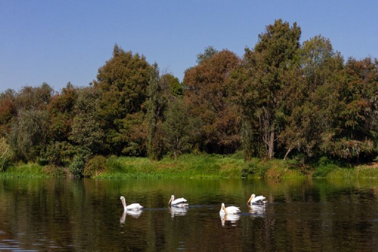 Ciudad de México Verde