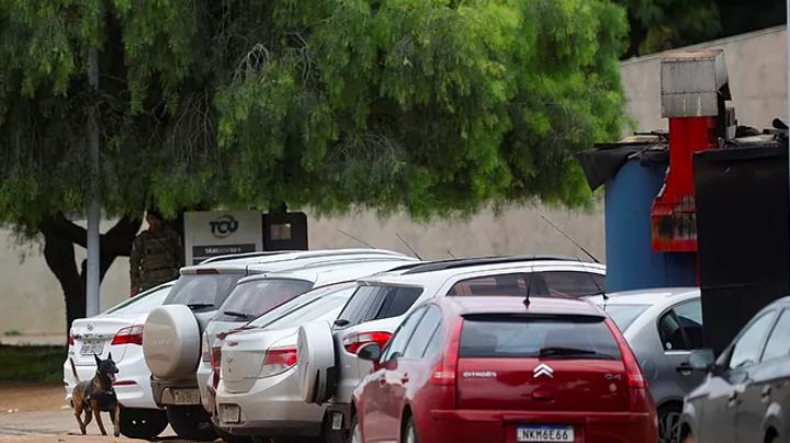 No cierres el año con una multa: Estos autos no circulan este sábado 31 de diciembre