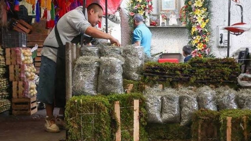 Buscan terminar con la comercialización de musgo y heno en la alcaldía Tlalpan