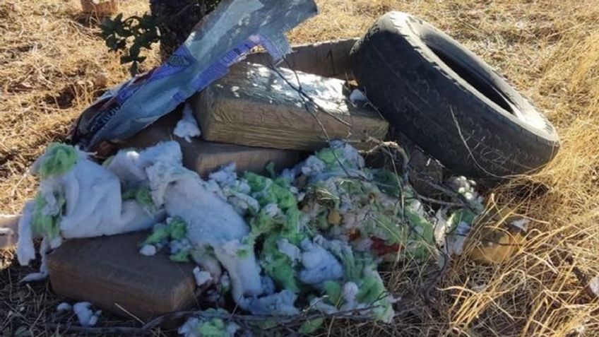 Golpe al crimen: Policía Estatal asegura 49 kilos de narcótico en área despoblada de Nogales