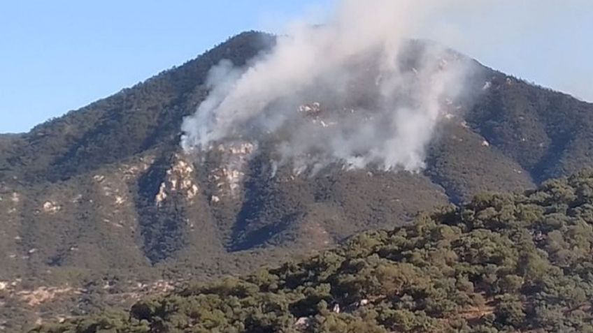 Incendio forestal en Aconchi deja 90 hectáreas de sierra alta afectadas, reporta Protección Civil