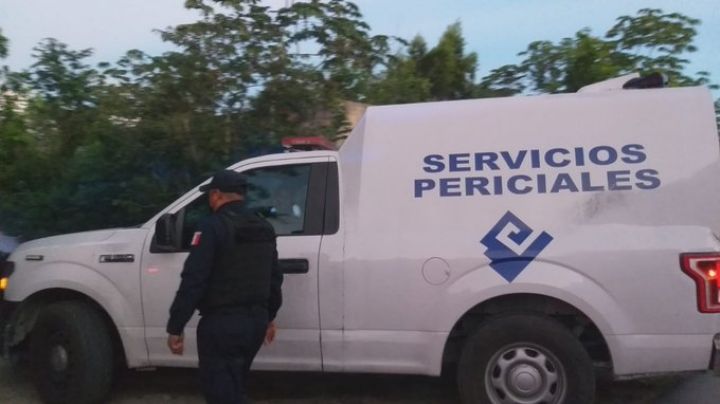 De terror: Fiscalía de Quintana Roo localiza restos óseos en Cozumel; estaban en una cubeta