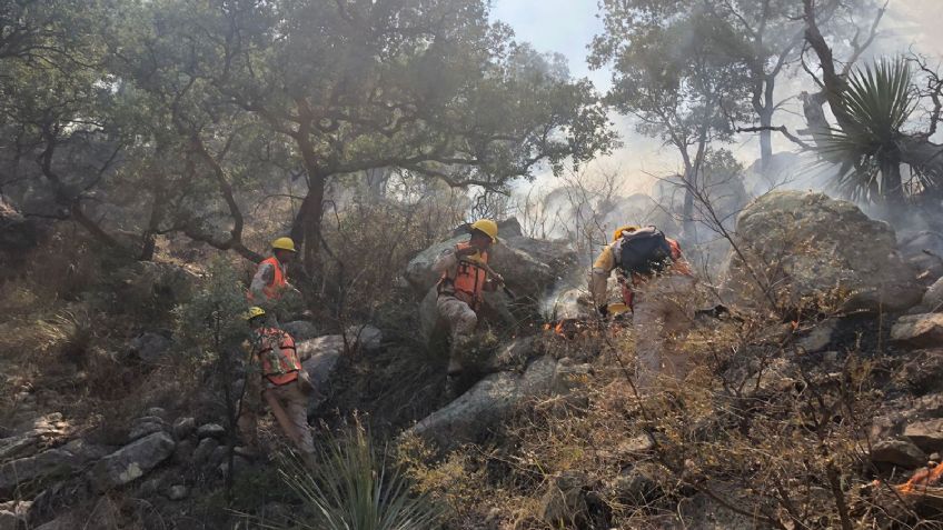 Brigadistas controlan 35% del incendio forestal en Aconchi, pese al viento: Protección Civil