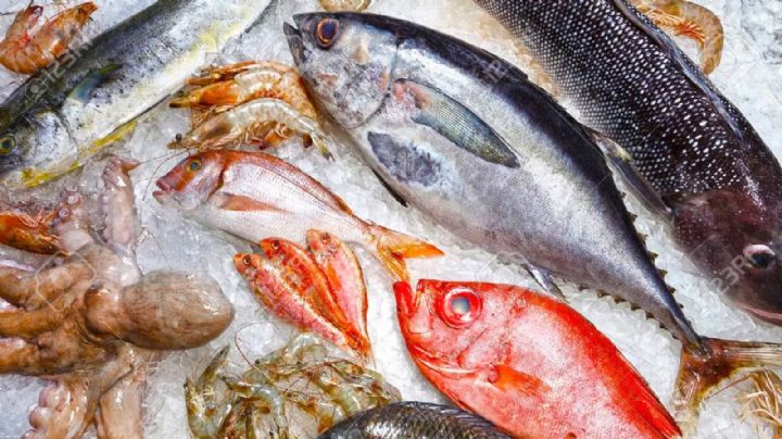 Ante altas temperaturas, Sonora ha presentado casos de intoxicación alimentaria: Salud