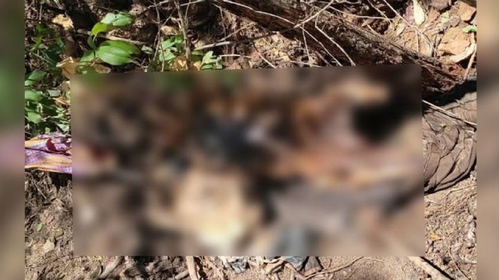 Cadáver putrefacto desata movilización a la orilla de una carretera de Hidalgo