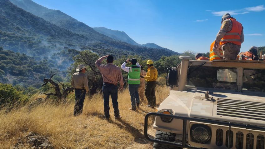 Controlan incendio forestal en la sierra alta de Aconchi; hay más de mil hectáreas afectadas