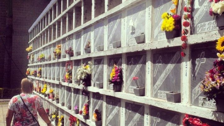 ¡Insólito! Desaparecen mil cadáveres de un panteón en Colombia; autoridades investigan