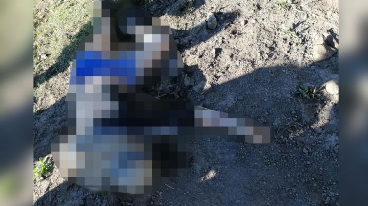Con impactos de bala en la cabeza, hombre es hallado sin vida en terreno de Tangamandapio