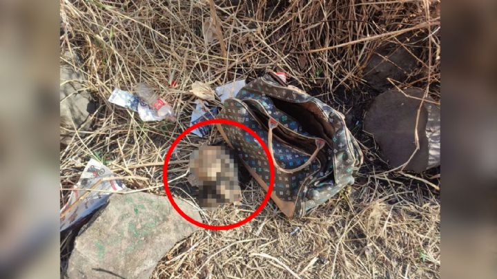 Autoridades encuentran cabeza humana junto a pertenencias de una mujer