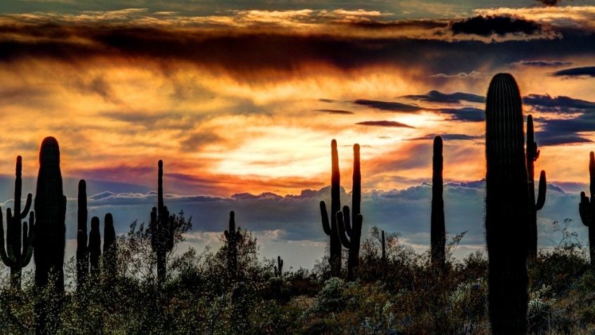 Conagua: ¡Alerta! Prevén clima y temperaturas frías en Sonora este domingo 27 de febrero